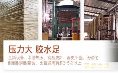 弘獅建筑模板榮獲周轉次數高贊譽！